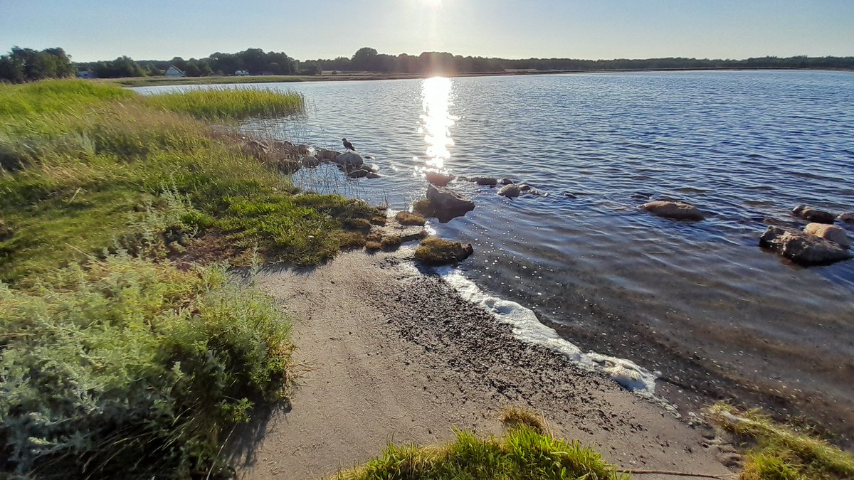 CFolsberg's tweet photo. Mini beach 🇩🇰 https://t.co/P5mlAPAsSJ