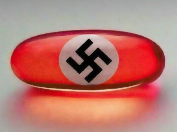 Red-pilled 💊 fag tweet media