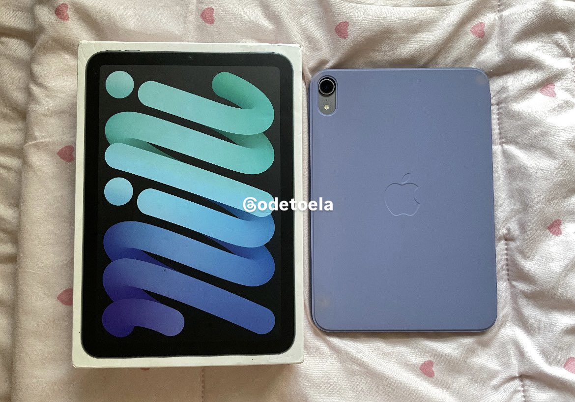 ella ₊˚⊹ ᰔ tweet media