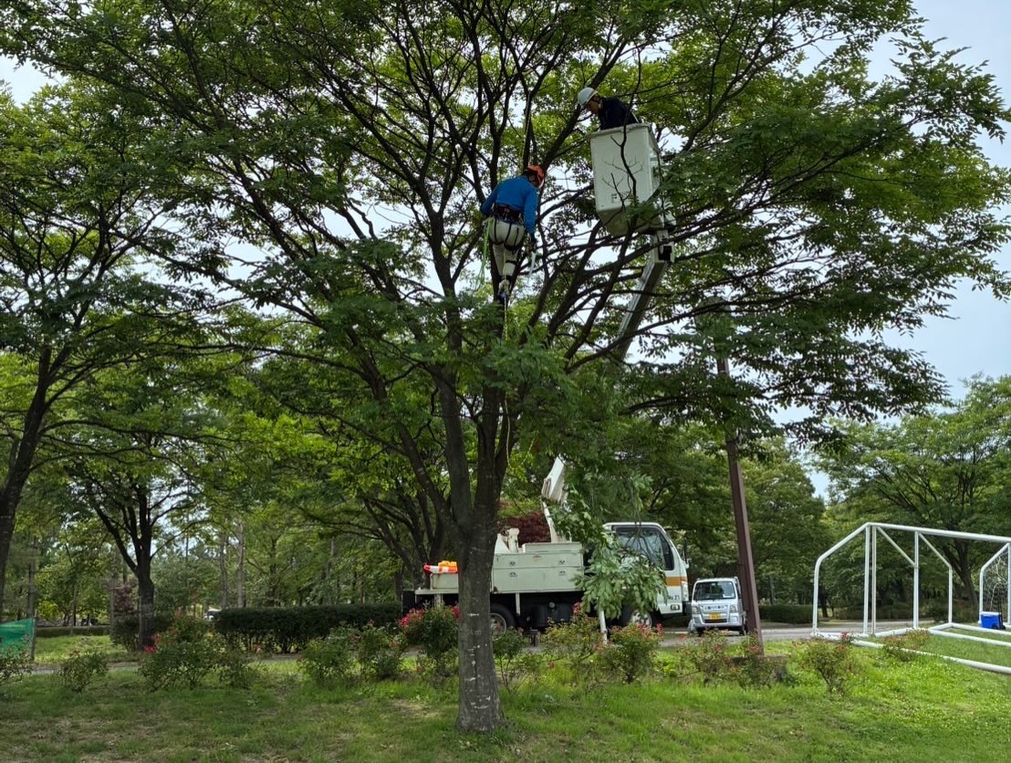 monte_yss's tweet photo. トップチームのトレーニングマッチにて、JY庄内がボールパーソンを務めました。

さらにJY庄内出身でユースの本間海翔選手が後輩たちへ向けて貴重な話をしてくれました。

多くの方々のご協力のおかげで、素晴らしいキャンプ期間となりました。心から感謝いたします！ https://t.co/8NT75tbqtc