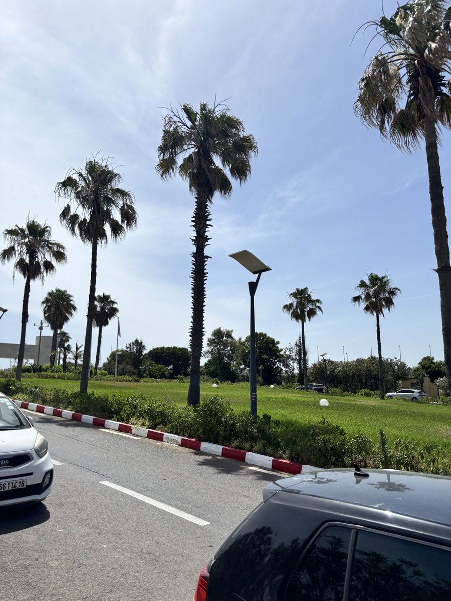 faleuriee's tweet photo. Algeria :-) 🇩🇿 https://t.co/0zyQqqm4Dy