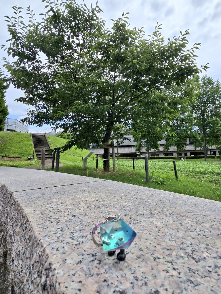 HY4AXEL's tweet photo. ちょっと時間が作れたので、kakuちゃんと七北田公園をのんびり散歩。
ゆづ桜からしっかりパワーをもらって、気持ちが前向きに。
あちこちでkakuちゃんの自立ポイントを探す時間がすごーく楽しかったです。
#羽生結弦
#Prequel https://t.co/UJnQG3KO5F