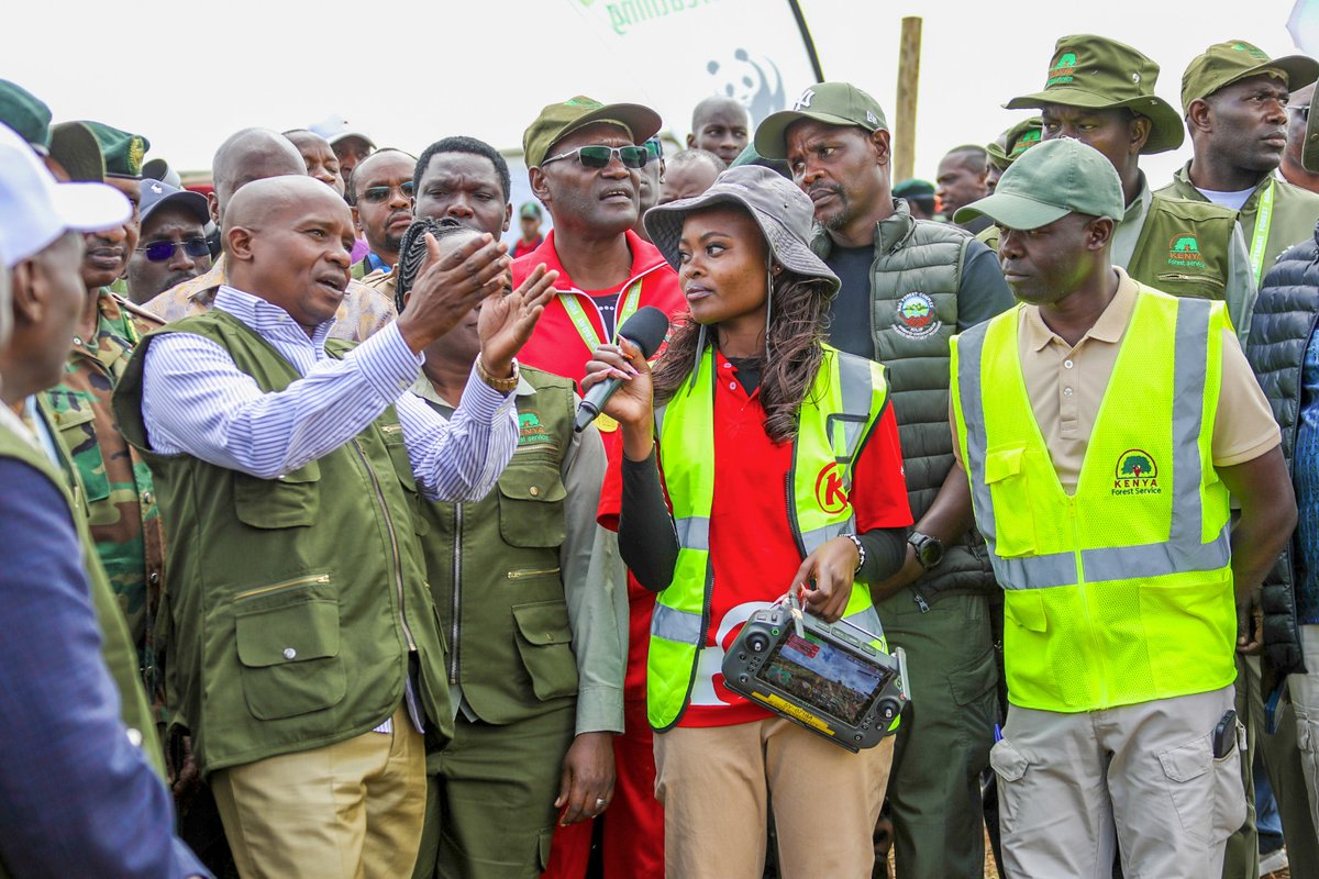 KenGenKenya's tweet photo. Over the past five years, @KenGenKenya has supported the programme with more than 150,000 tree seedlings to restore degraded Kakpoi, Sabor, and Penon forests. #SustainableKenGen #JazaMiti #GreenEnergyKE ^EM https://t.co/cTzybrJytv