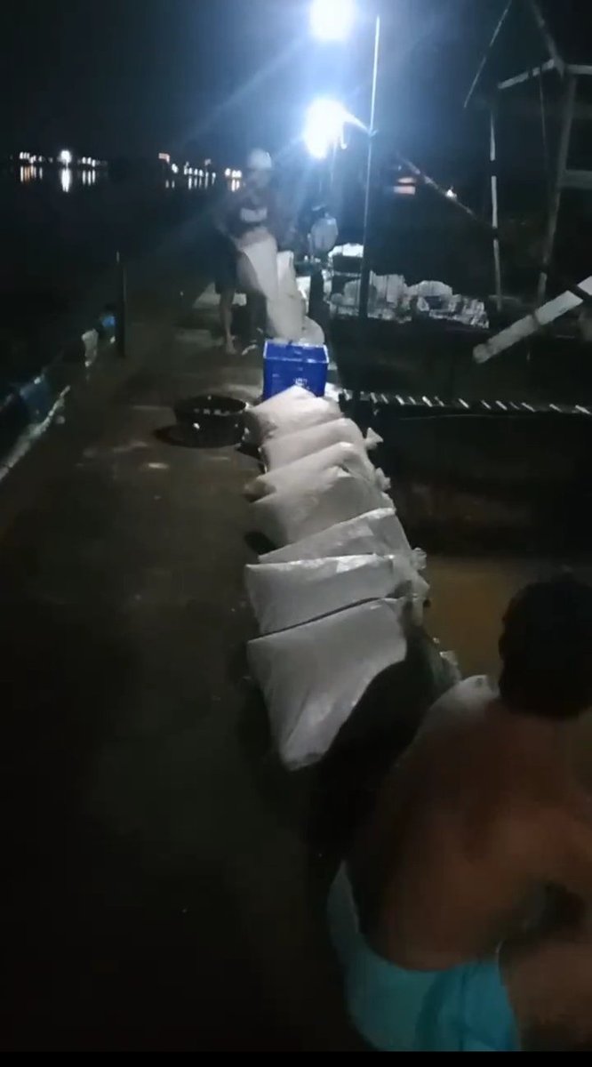 fatmaptk03's tweet photo. Pendampingan dalam akses pemasaran Ikan nila sebanyak 300 kg, di Pokdakan Hanif Jaya Makmur. Kecamatan Pontianak Timur https://t.co/DwQmHoPl0x