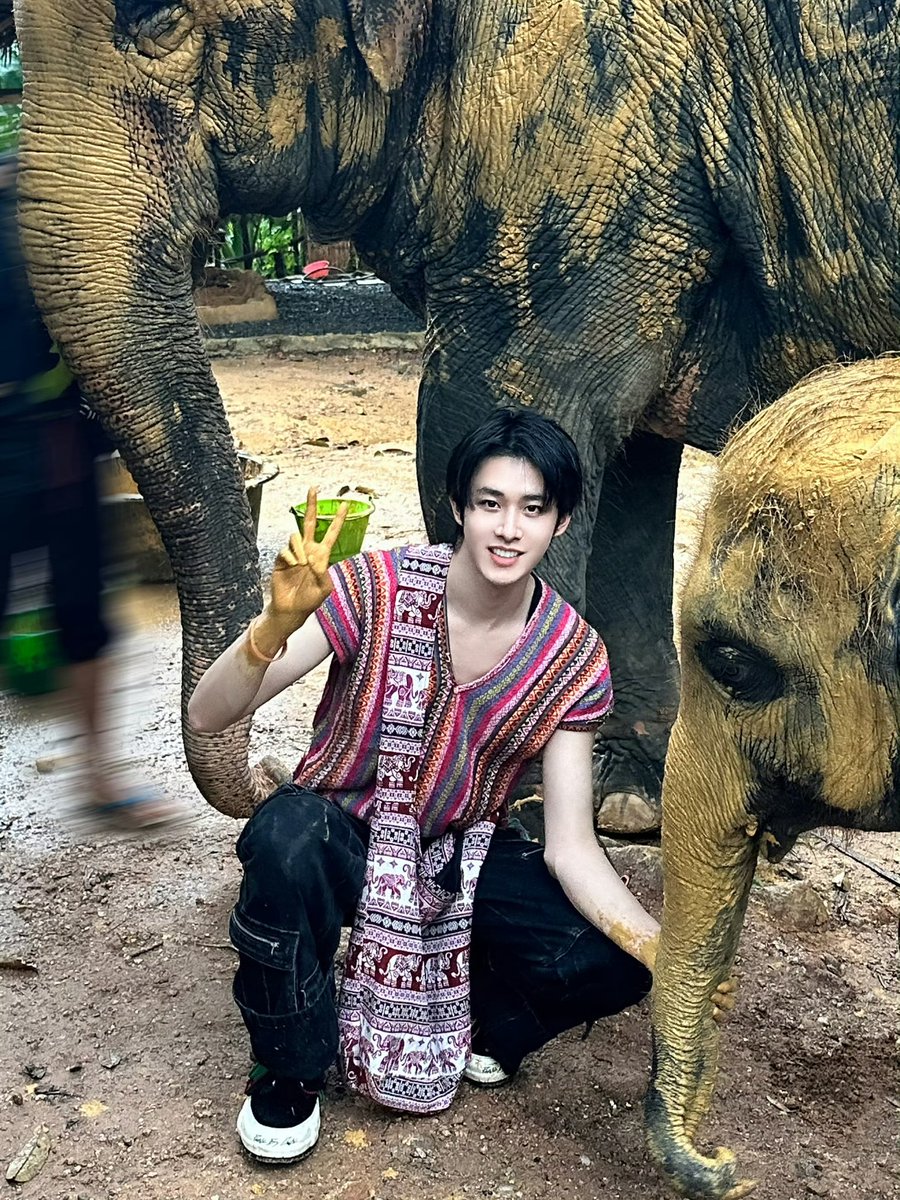 XiaoTianTH's tweet photo. 13/7/26 | TianJiarui studio update 

ท่ามกลางสายน้ำที่สาดกระเซ็นและความอบอุ่นจากผู้คน ในช่วงท้ายของการเดินทางที่ประเทศไทย เถียนเจียรุ่ยได้ใช้เวลาหนึ่งวันกับช้าง🐘

#เถียนเจียรุ่ย #TianJiarui #田嘉瑞 https://t.co/uNY0pNVB4U