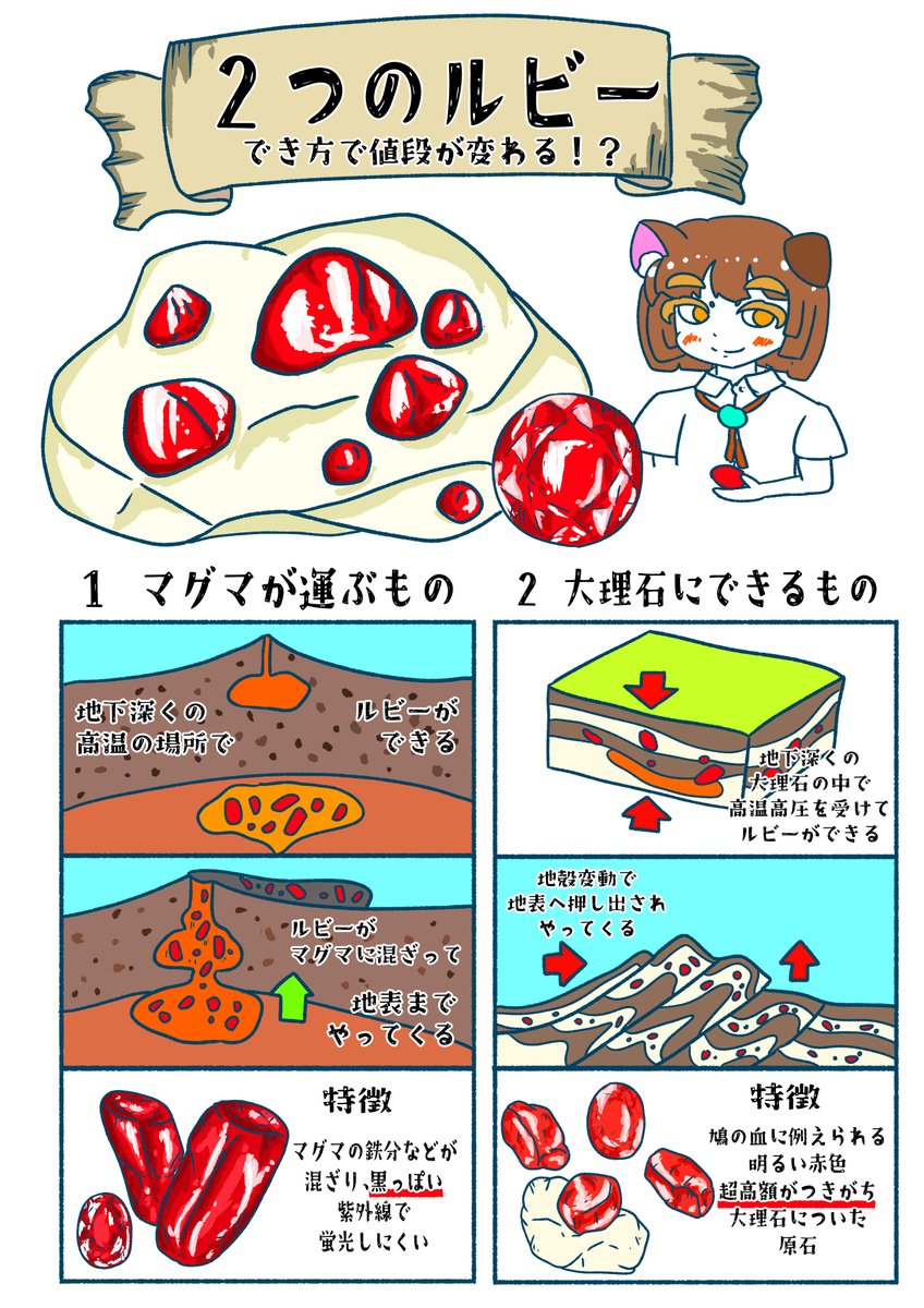 Hanamure_Honome's tweet photo. マグマの熱で運ばれた赤と、白い大理石の中で眠っていた赤。
生まれ方が違うだけで、ルビーの「色」も「価値」もガラリと変わります。
そんな鉱物の不思議をイラストで図解してみました。
宝石の奥深い世界、覗いてみませんか？💎✨
#ルビー #鉱物図解 https://t.co/lvPi1PUyPd