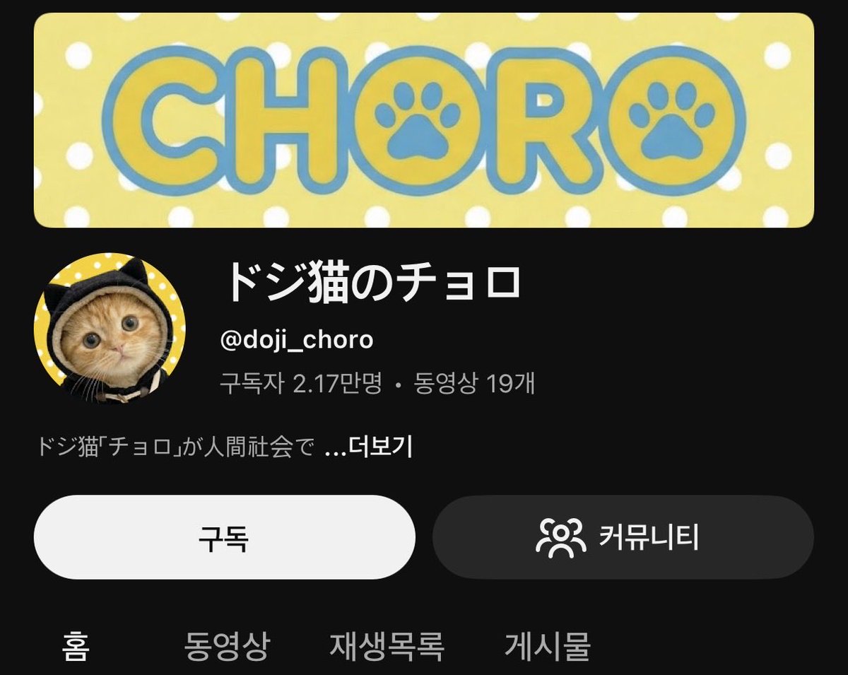 흑돼지 tweet media