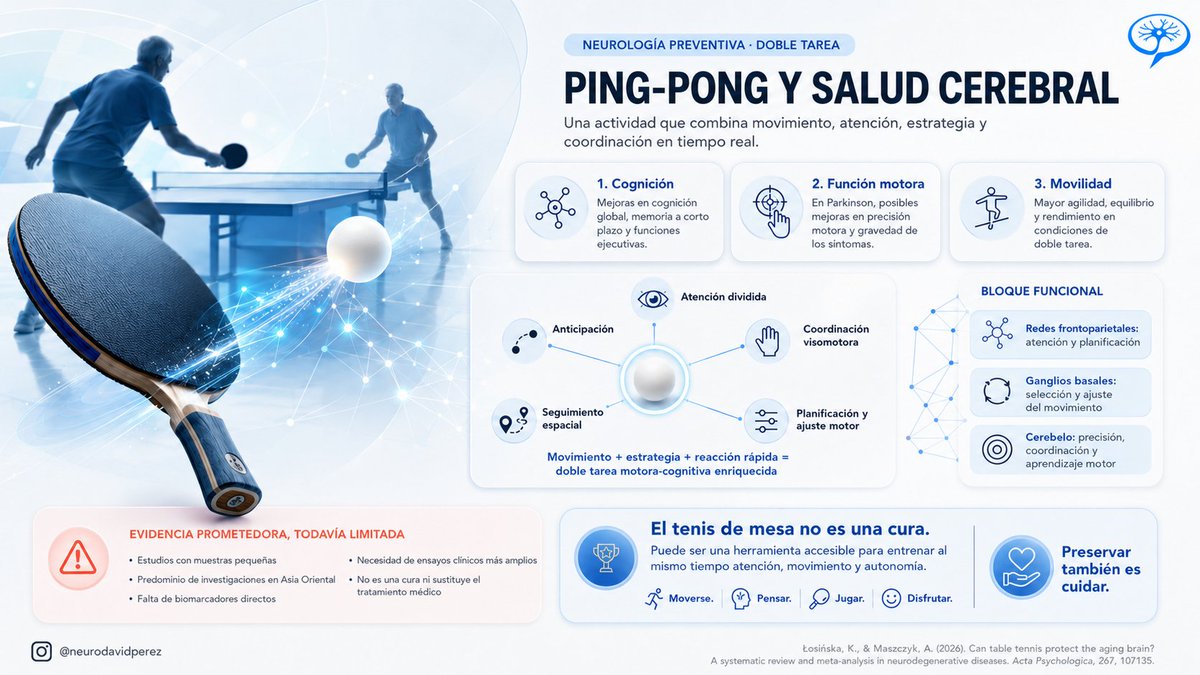 daperezm's tweet photo. ¿Y si un escudo para el cerebro envejecido no fuera un complejo software digital o un sofisticado nuevo fármaco, sino una pala de tenis de mesa?

Durante años hemos separado el ejercicio físico del esfuerzo mental. Tratamos cuerpo y mente como compartimentos estancos.

Pero la neurología preventiva demuestra lo contrario. Las mejores intervenciones ocurren cuando obligamos a ambos sistemas a trabajar al unísono.

Un reciente metaanálisis publicado en Acta Psychologica (2026) analiza por primera vez el impacto de programas estructurados de tenis de mesa en adultos con Alzheimer, Parkinson y deterioro cognitivo leve.

Los resultados clínicos del estudio:
— Cognición global: Mejora significativa en memoria a corto plazo y funciones ejecutivas (escalas MMSE y MoCA).
— Síntomas motores: En pacientes con Parkinson, disminuyó la gravedad de la afectación, optimizando la precisión y la velocidad de la marcha.
— Movilidad funcional: Mayor agilidad y equilibrio en condiciones de doble tarea.

¿Por qué funciona?

A diferencia de caminar o correr en cinta, el tenis de mesa es el prototipo de actividad de doble tarea motora-cognitiva enriquecida.

Exige, a la vez, atención dividida, coordinación visomotora rápida, seguimiento espacial y planificación constante.

Esta complejidad estimula circuitos cerebrales clave: las redes frontoparietales, los ganglios basales y el cerebelo. Al imponer esta carga simultánea, se potencia la neuroplasticidad y la reserva cognitiva.

Ahora bien, el criterio clínico exige prudencia.

La evidencia actual tiene límites claros: muestras globales pequeñas, un marcado sesgo geográfico (estudios realizados en Asia Oriental) y falta de biomarcadores directos (fMRI o plasma).

Esto no resta valor a la intervención, pero marca el camino. Necesitamos ensayos clínicos en nuestro entorno occidental para estandarizar "dosis" terapéuticas precisas.

Mientras tanto, la lectura de fondo es inapelable.

La salud cerebral no se protege con teorías abstractas. Se construye con decisiones cotidianas, sostenibles y accesibles.

Incorporar el ping-pong en centros de día o en recomendaciones de vida activa tiene un sólido sentido neurobiológico. 
Es pasar de la reacción ante el deterioro a una verdadera cultura preventiva.