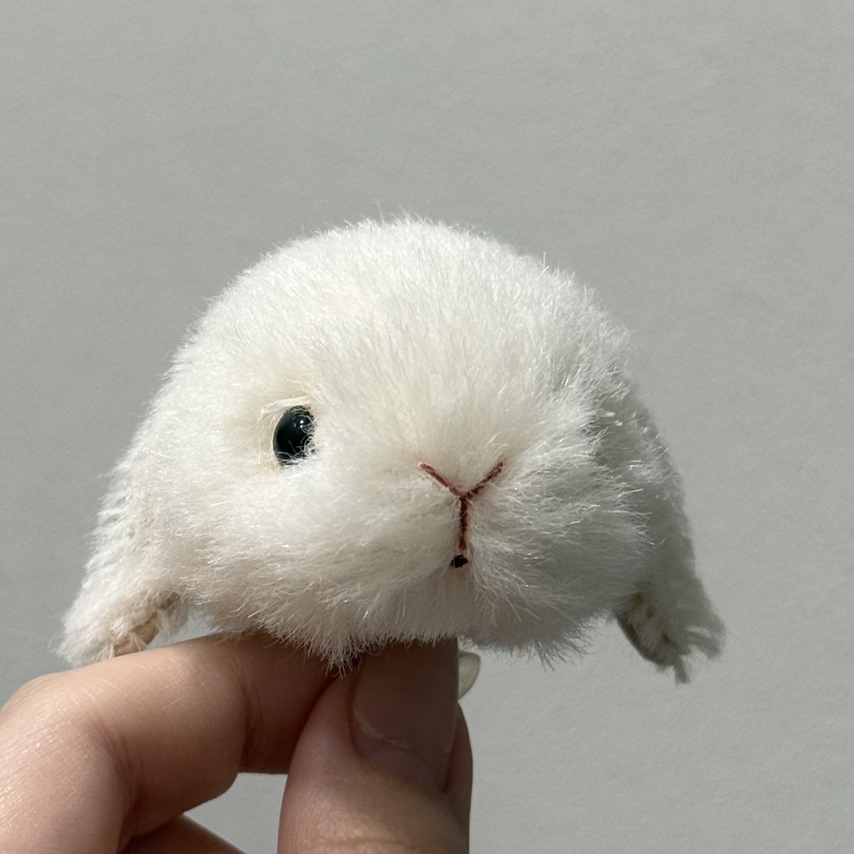 次のこうさぎテディベアはロップイヤーのホワイトです🐰