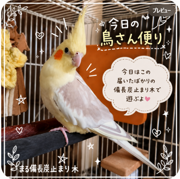 まる備長炭止まり木工房 (@marutomarigi) / Posts / X