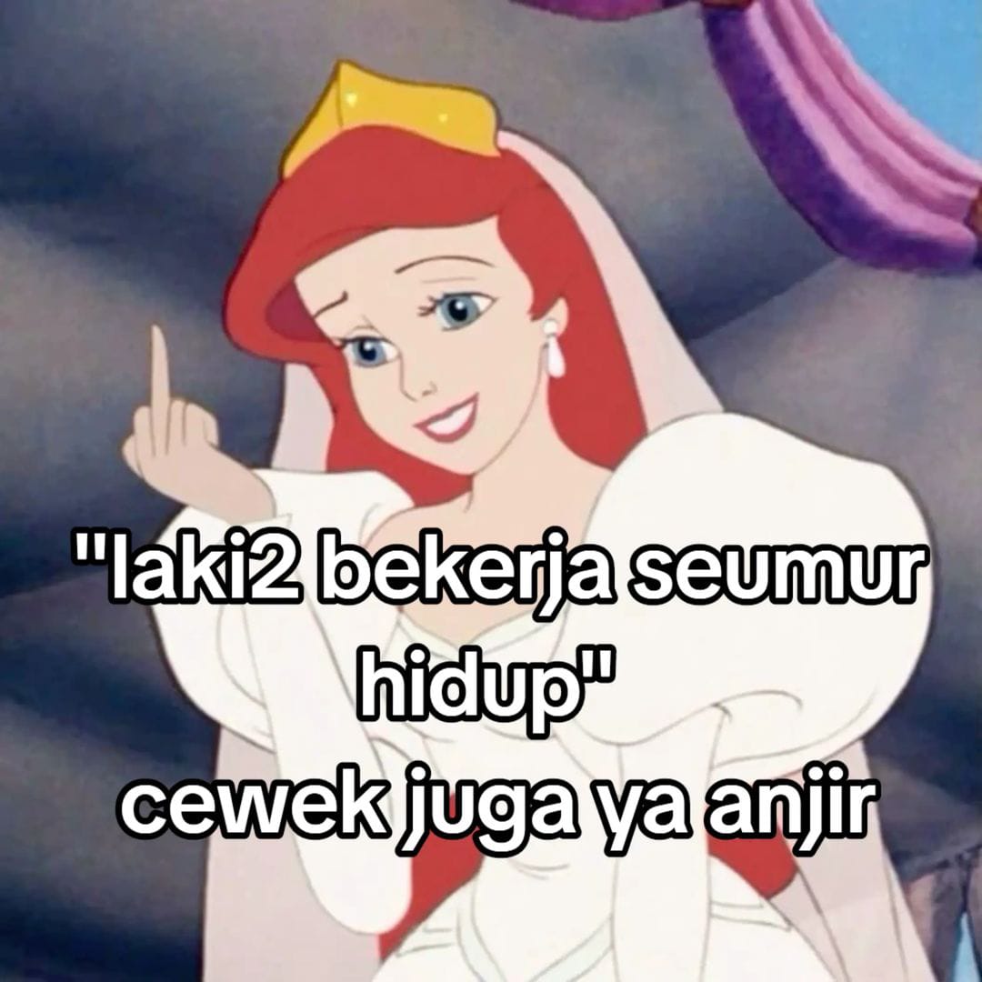 bilek tweet media