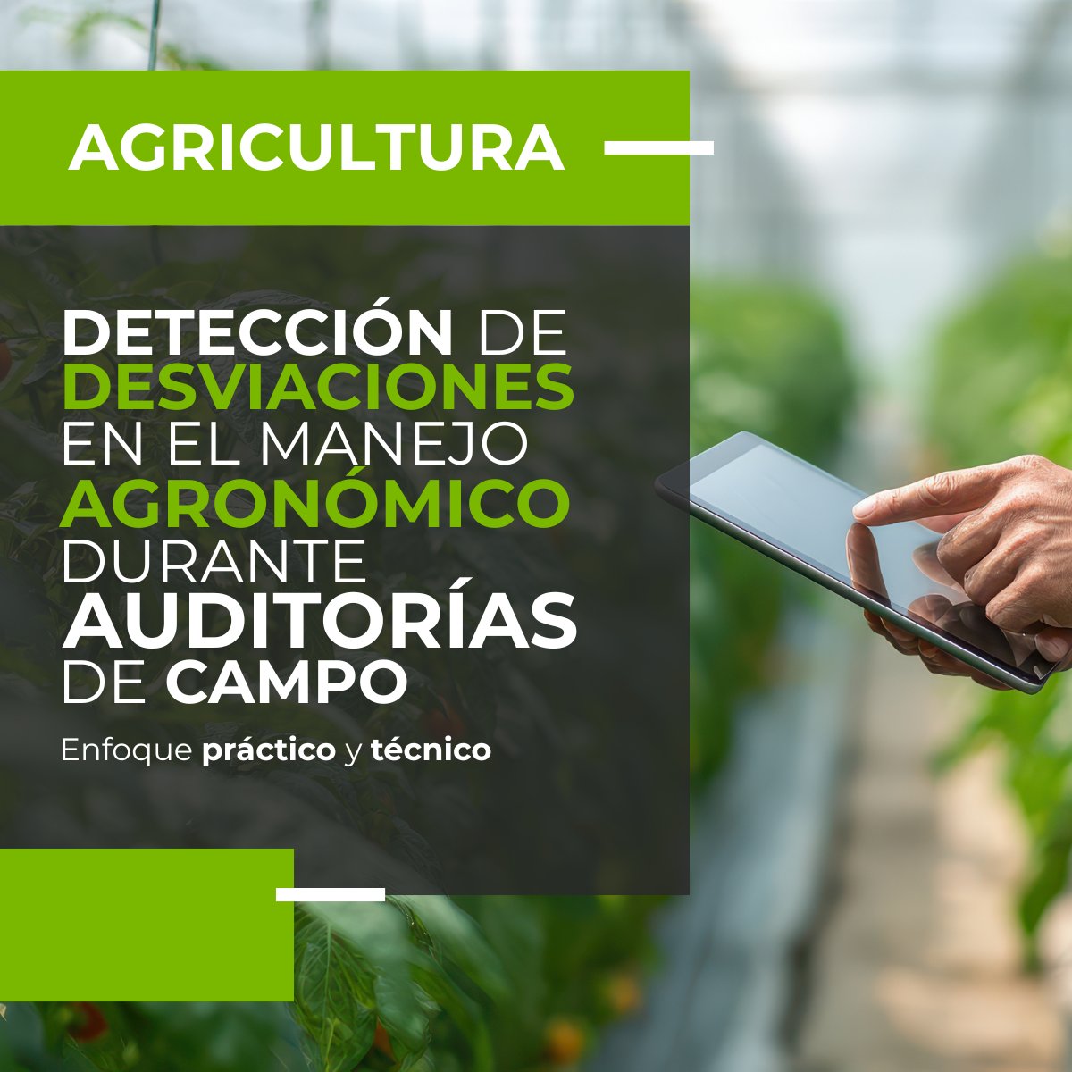 DidascaliaEG's tweet photo. La auditoría de campo en cultivos permanentes ha evolucionado desde un modelo basado en inspección visual y verificación documental hacia un sistema de análisis integrado.

¿Sabes de que forma se realiza? ¡Descúbrelo en nuestro nuevo artículo!

https://t.co/regapX38vU https://t.co/CGJMUxhszw