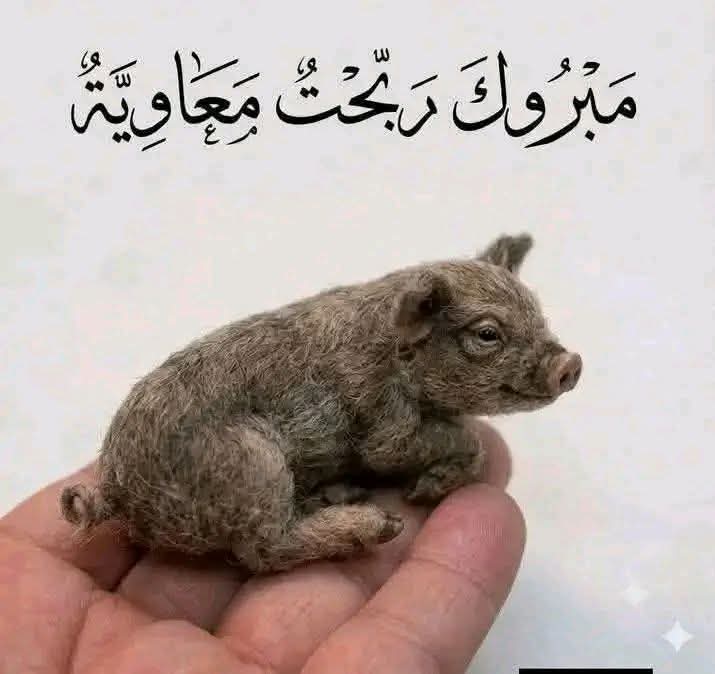 الصالحي tweet media