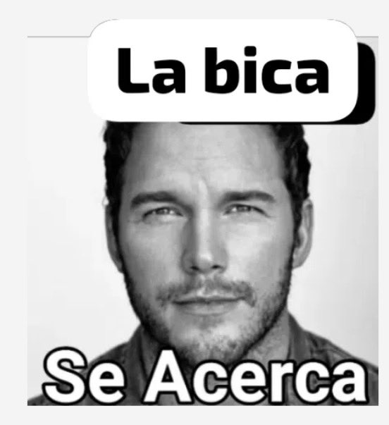 chocho gordo HAALAND DUEÑO DE MI ANO tweet media