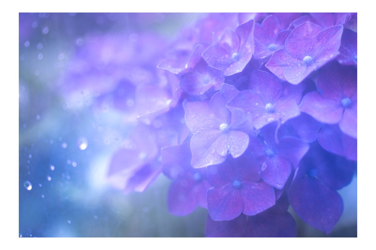 everyphoto2's tweet photo. 「RAINY GLOW Photo Contest」
https://t.co/gGob3i9F8B

「雨の日だからこそ出会える、美しい輝き」
そんな優しく、美しく輝く「雨の世界」を感じられる作品を幅広く募集中！
期間中にご投稿いただいた作品をご紹介✨

ねこのさかな 様ご投稿
雨の日の
https://t.co/IaFwIMkcV9 https://t.co/ktUEhxmeC0