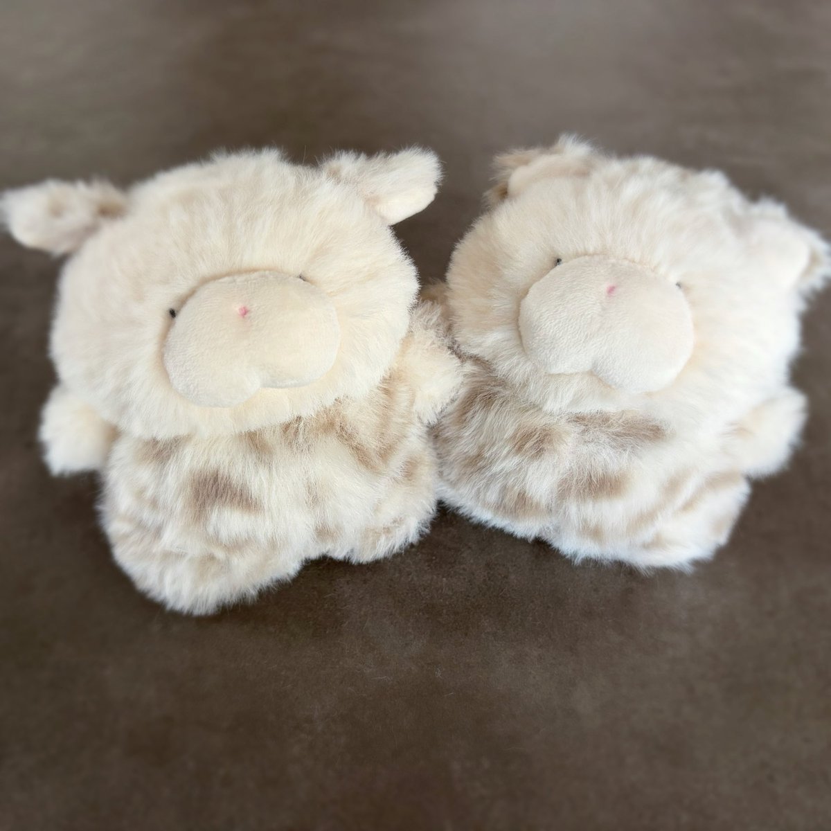 babo_collection's tweet photo. 🐶🐯

#babo_collection https://t.co/jyw1SfDTQD