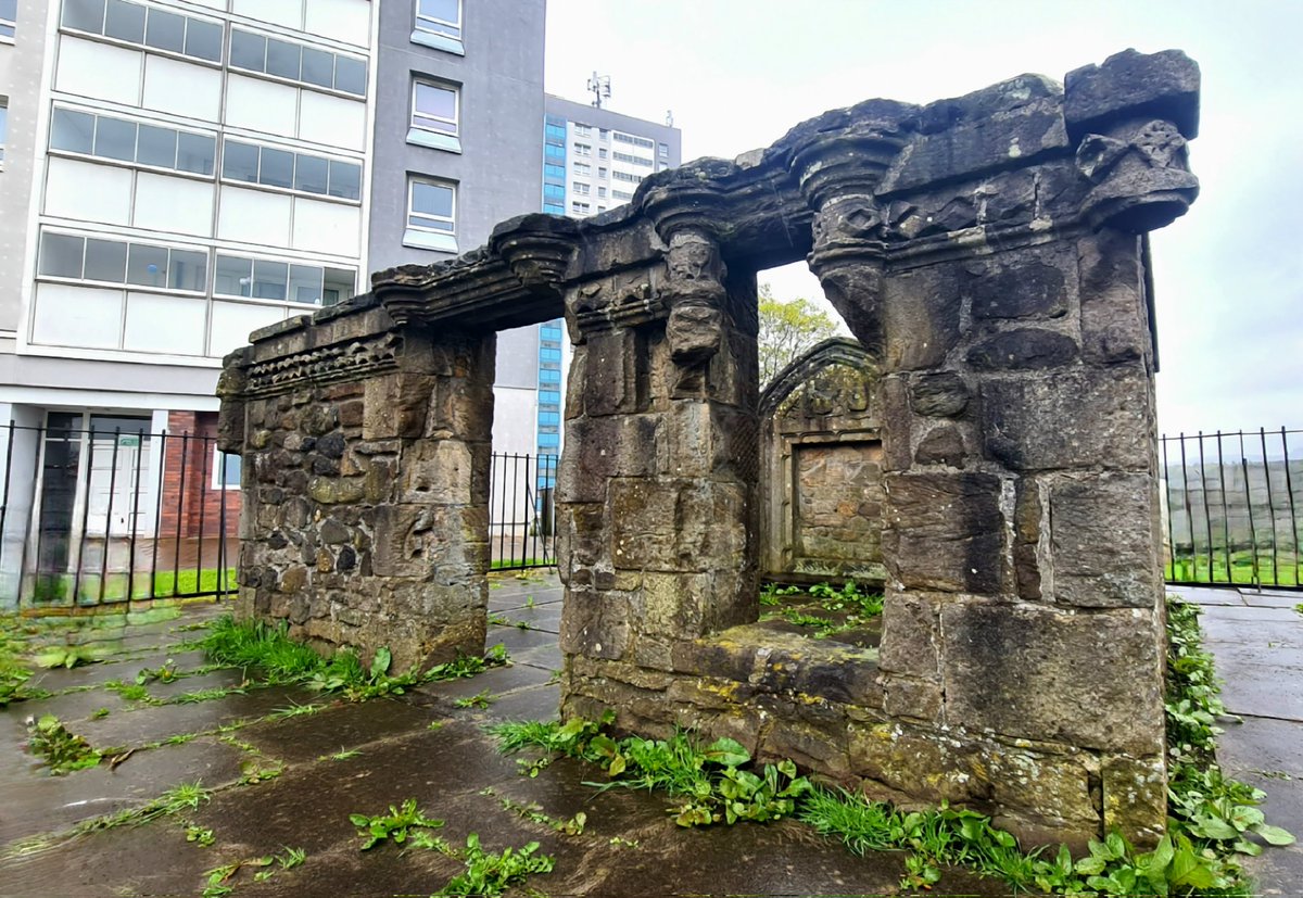 This Is My Glasgow tweet media