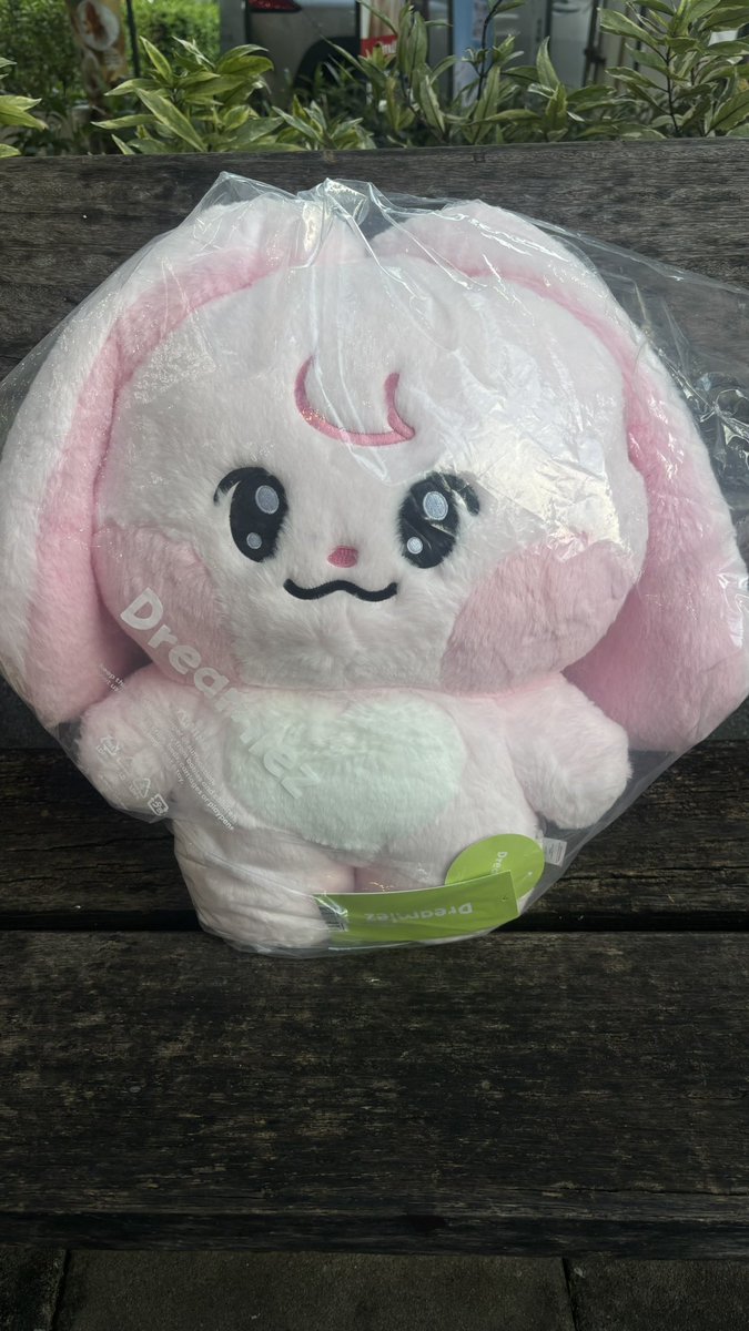 ornjiww's tweet photo. 🎀 wts / ขาย / พร้อมส่ง ✨💖
-ตัวใหญ่เกี๊ยวปึ้ง 40 cm 1800
-ตัวใหญ่เชอรี่ 700
-เกี๊ยวปึ้ง ver.1 950
ค่าส่ง 40 คับ พื้นที่พิเศษและน้องเกี๊ยวปึ้งตัวใหญ่คิดตามจริงคับ 🥺
ไม่เคยพาออกข้างนอกคับ ไม่เคยอาบน้ำคับ
#ตลาดนัดnctdream #ตลาดนัดnct #kkyuping https://t.co/gqhKg2HgtN