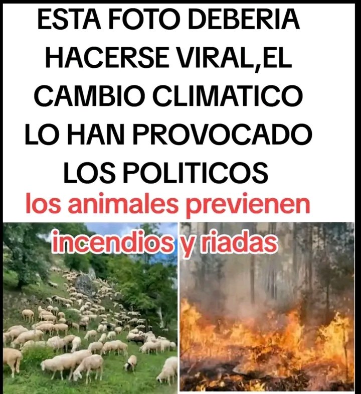 MercedesAn37869's tweet photo. @LuisVMoreno https://t.co/1RUNx88J1l