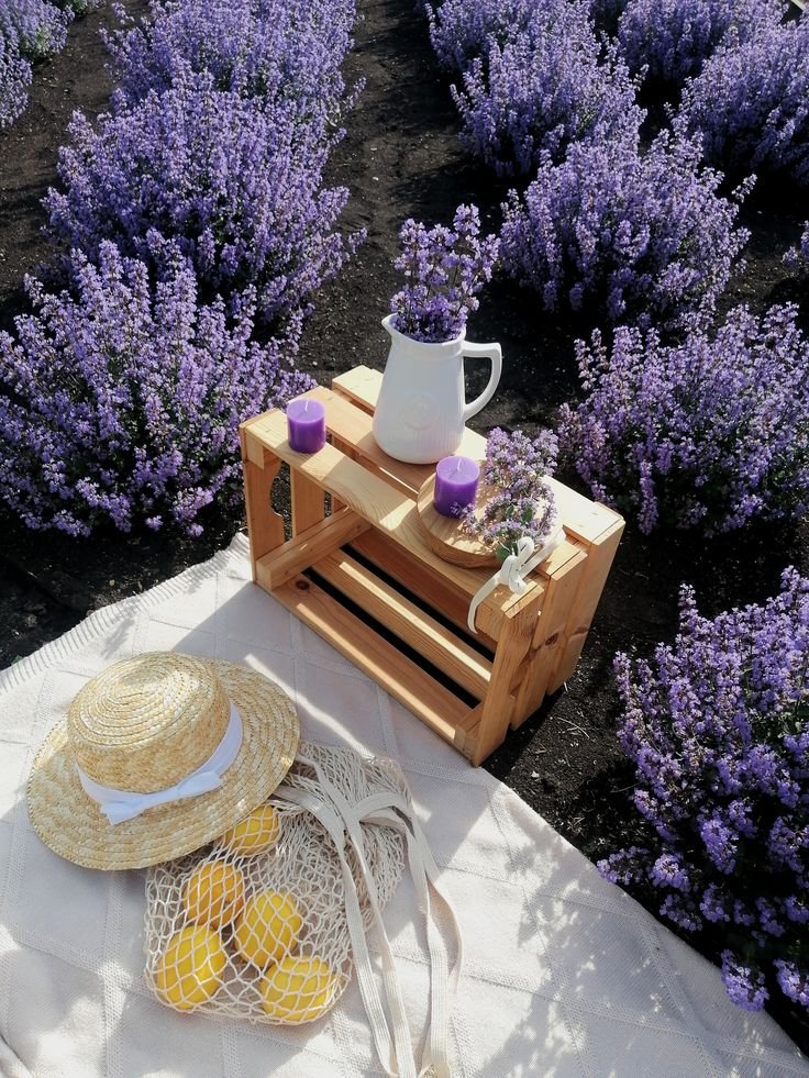 oceanweavee's tweet photo. a levender picnic https://t.co/PmDUu2Lu0M