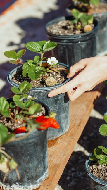 JennineReicodf's tweet photo. مازلت آمل الروحي، بأي من في هذا الاتصال ولن أقبل شيء أقل الحب الحقيقي الذي يبدأ بالصدق dean tumbleston https://t.co/85GzgUHh3L