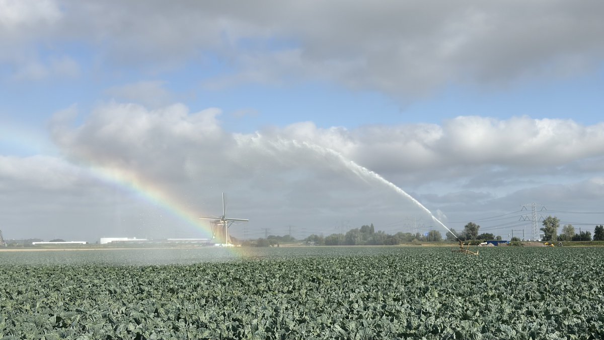 JolandaBakkker's tweet photo. @mrmiddendorp @BuienRadarNL @weermanrobert @WilliamHuizinga @meteovoorne #edaldus @weerverteller droogte https://t.co/T9JeqBg3B7