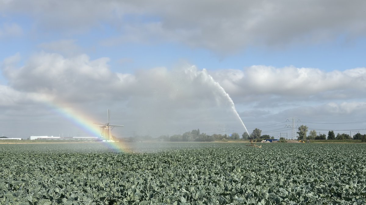 JolandaBakkker's tweet photo. @mrmiddendorp @BuienRadarNL @weermanrobert @WilliamHuizinga @meteovoorne #edaldus @weerverteller droogte https://t.co/T9JeqBg3B7