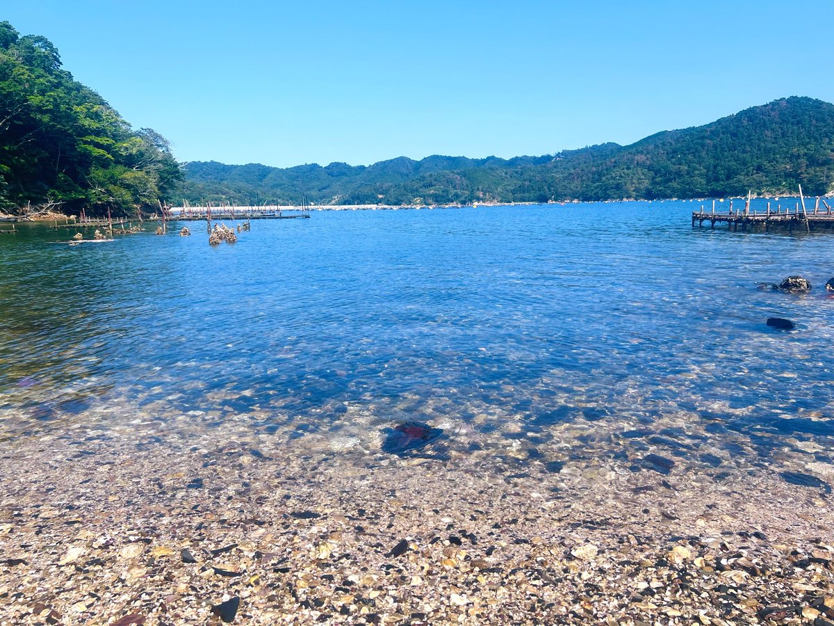 yo__001's tweet photo. 石巻女川キャンプも明日で終わりかぁ。この間始まったと思ってたのに早いなぁ。とりあえず10日の日行けてよかった⸌◦̈⃝⸍暑すぎたけど！その後石巻に行って来年まで展示予定のWhite Deer(Oshika)も見に行けてよかった！念願叶ってやっとだった𛰙᭜𖫴𖫰𖫱𖫳𖫲𖫲𖫳𖫴𖫰𖫱꛰ ᭜𖫴𖫰𖫱𖫳𖫲𖫲𖫳𖫴𖫰𖫱꛰ಣ https://t.co/b2OIORSyFr
