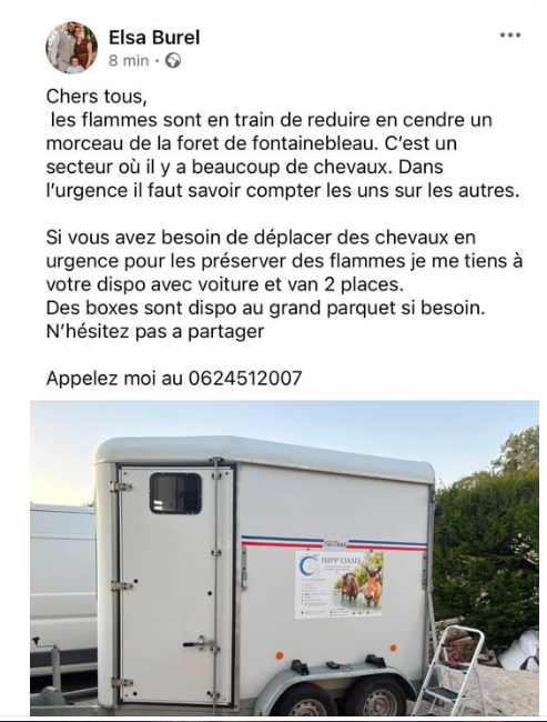 AthenaisRoy's tweet photo. 🐎🐴 URGENT -  Partagez pour eux svp  🙏 Merci. https://t.co/02BwfDxMma