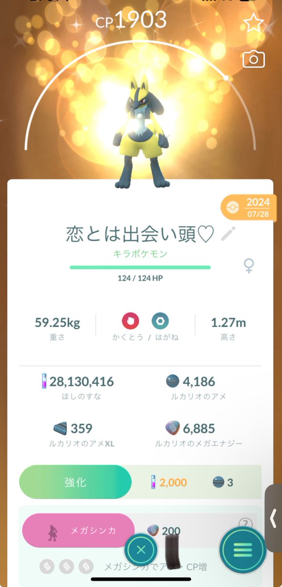 yusukekPokeGo's tweet photo. ルカリオミルクから色違いルカリオ強奪したけど弱かった https://t.co/zl6HsNtmCL