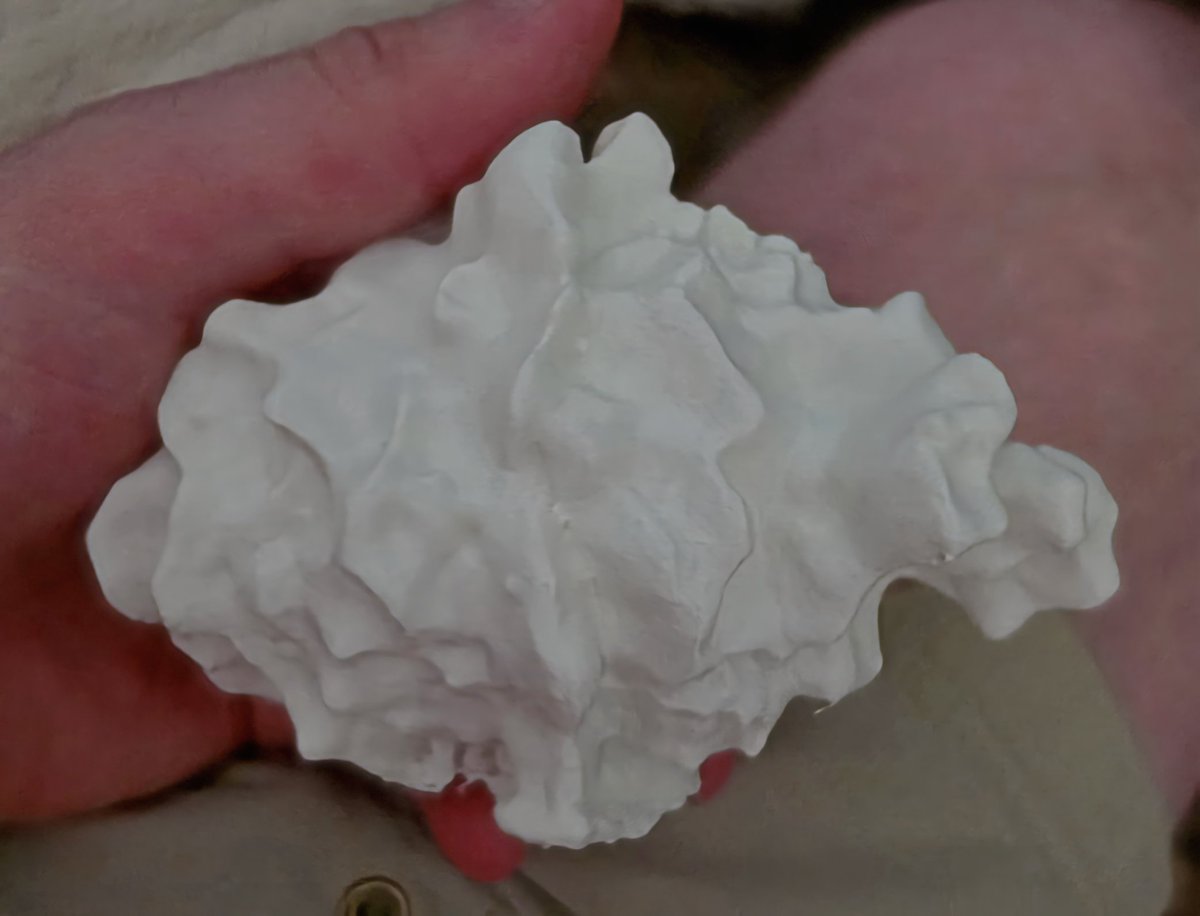 AbeSandyWX's tweet photo. I present to you the hail record for Colorado set in 2023 near Yuma, CO by @Dan_Fitts &amp; @Jerry_Doremus. Thank you IBHS Record Hail Quick Response Team for sharing the file with me.

#COwx #Colorado https://t.co/PldaVlFyCh
