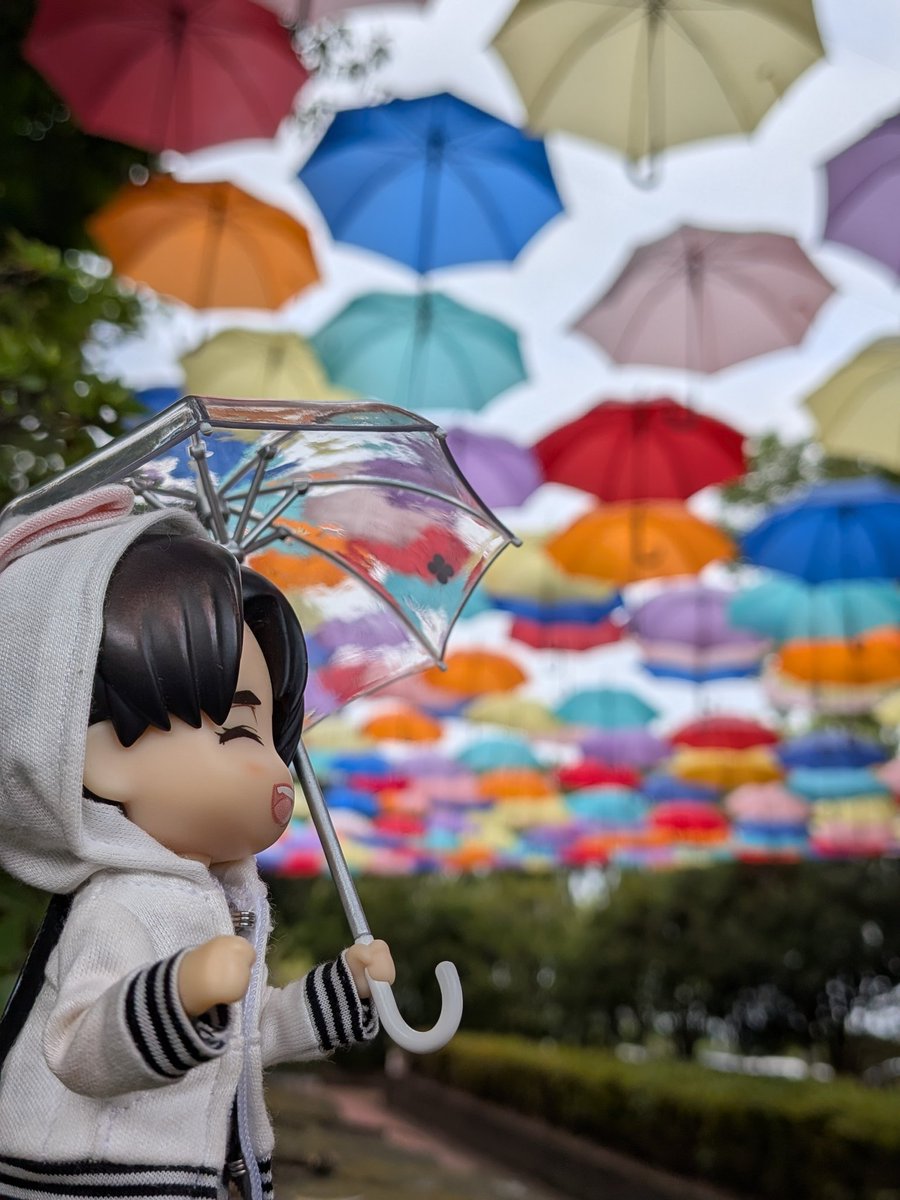 ryonpinyan's tweet photo. ことしもアンブレラスカイを
みにきました！

☂️☂️☂️☂️☂️☂️☂️☂️☂️☂️

いろんな色のかさがいっぱい！
うふふふ‥‥‥キレーやねぇ✨️ https://t.co/EhAuaBepbl