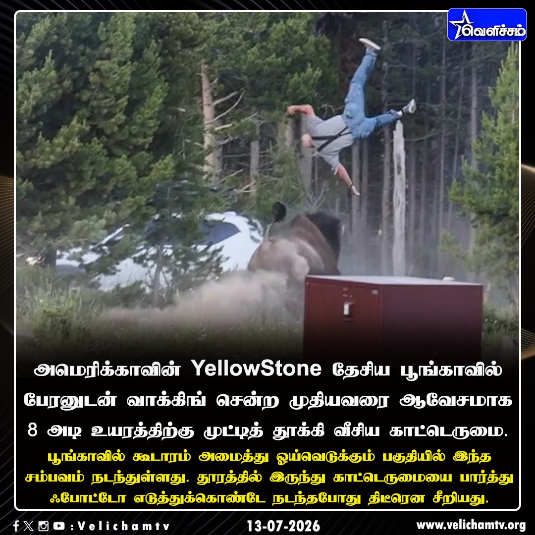 velichamtvtamil's tweet photo. முதியவரை 8 அடி உயரத்திற்கு பறக்கவிட்ட காட்டெருமை #BisonAttack | #America | #VelichamTV https://t.co/Q8gQcSpvrT