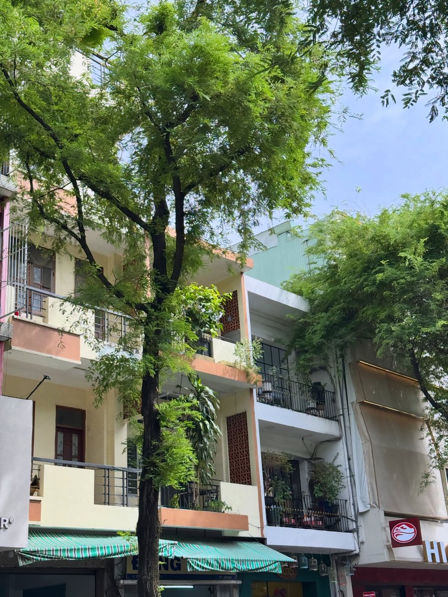 Gardenoftonliew's tweet photo. 🌱IG TONLIEW.MTP POST UPDATE 🌱
🗓️ 13.07.2026

🇻🇳

⋆｡°✩┊ #ต้นหลิวเด็กจิ๋ว  #tonliewmtp  #GardenOfWillow  :･｡☆ https://t.co/kQupAGt4sC
