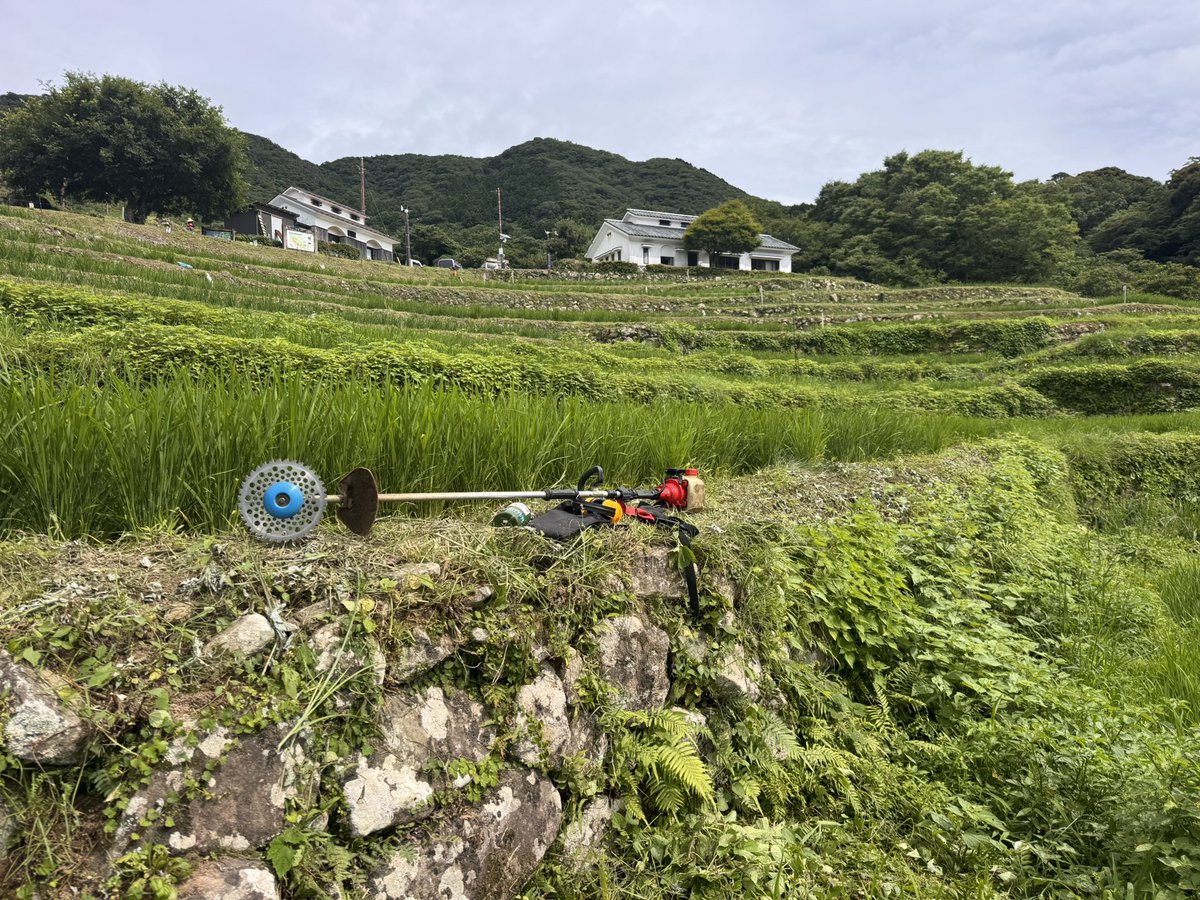 ADV3156's tweet photo. 石部の棚田で2ストマシンを楽しんできました
#西伊豆
#松崎町
#石部の棚田
#民泊ねぎや https://t.co/ARmntJNFTi
