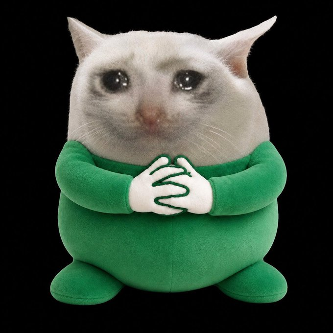 CashCat tweet media