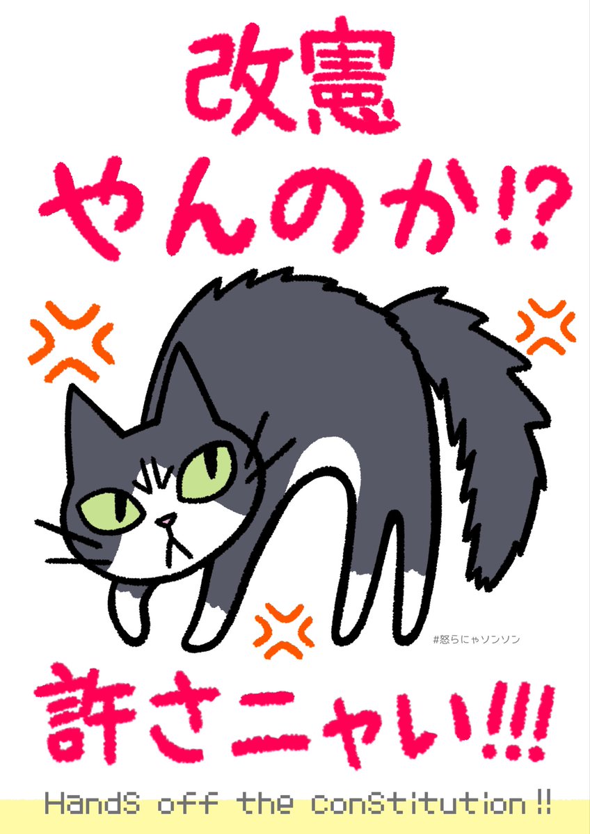 ayacarythm's tweet photo. #参議院憲法審査会を開かせるな
#憲法改正手続き法案に抗議します 
ツイデモタイム！
7月15日(水)の参議院憲法審査会で憲法改正手続き法案(国民投票法)審議されます
#立憲民主党 は可決すんのか？
よくデモに出て来れたな😡💢💢💢

本日もTLに怒りのステップ流します🐾 https://t.co/uzPj6IHj5Z