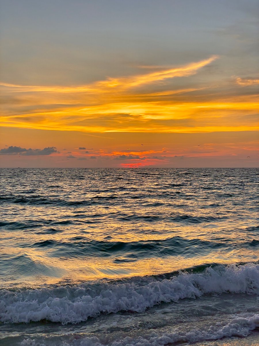 DeepGreens2's tweet photo. Happy Monday! #BeachLife https://t.co/BhjUewl65O