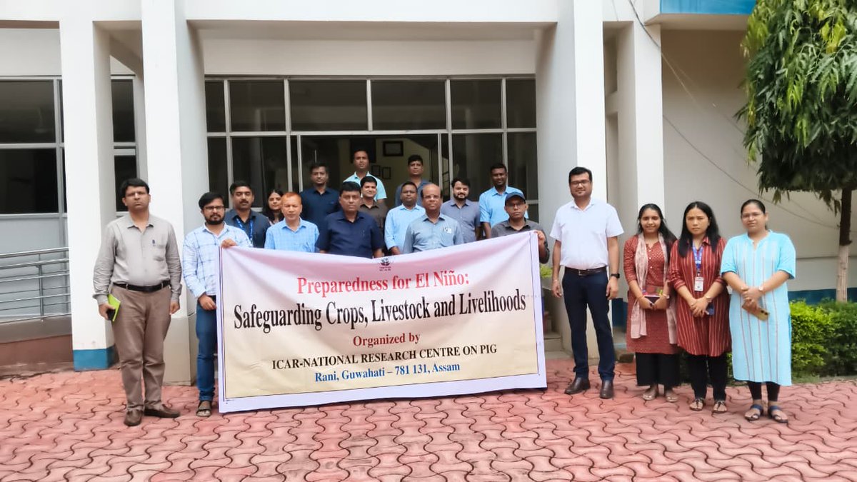 nrcpig's tweet photo. ICAR–NRC on Pig, Guwahati joined the National El Niño Preparedness Campaign by organizing an awareness workshop on "Preparedness for El Niño: Safeguarding Crops, Livestock and Livelihoods" to strengthen climate resilience and preparedness. @icarindia @AgriGoI @ChouhanShivraj https://t.co/qBWE2UlyS0