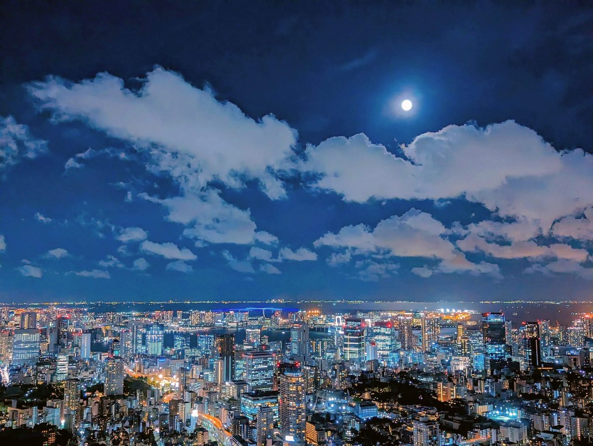 hd_resolution's tweet photo. これが、東京。

〜This is Tokyo〜

Shot on Pixel 7 Pro
#Photography #Tokyo #Japan #Pixel #TeamPixel #夜景 #写真 https://t.co/M3uH2kYGHD