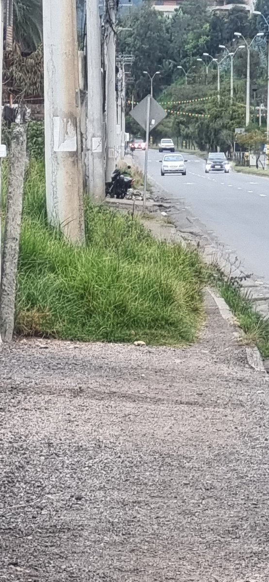 freemarcelo's tweet photo. @emac_ep  Por favor mantenimiento de aceras Av. Enrique Arizaga Toral sector Medio Ejido. https://t.co/BbULBGvW3C