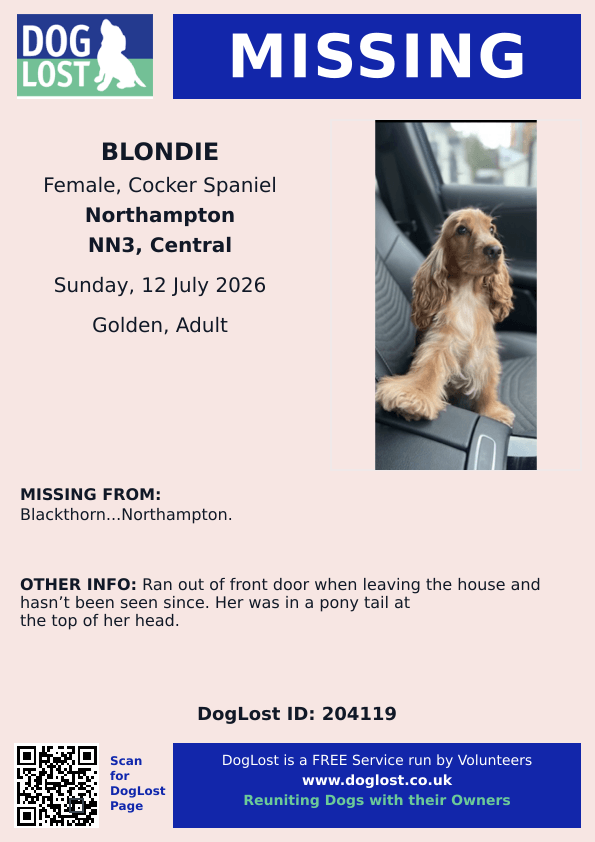MissingPetsGB's tweet photo. 🐕 Please share to help find BLONDIE #CockerSpaniel #missing from #Blackthorn #Northampton West #Northamptonshire #NN3 since 12 Jul 2026 after she ran out of her door when leaving the house. Her hair was in a pony tail at the top of her head.
Blondie hasn’t been seen since. https://t.co/Jot1Fnvtkl