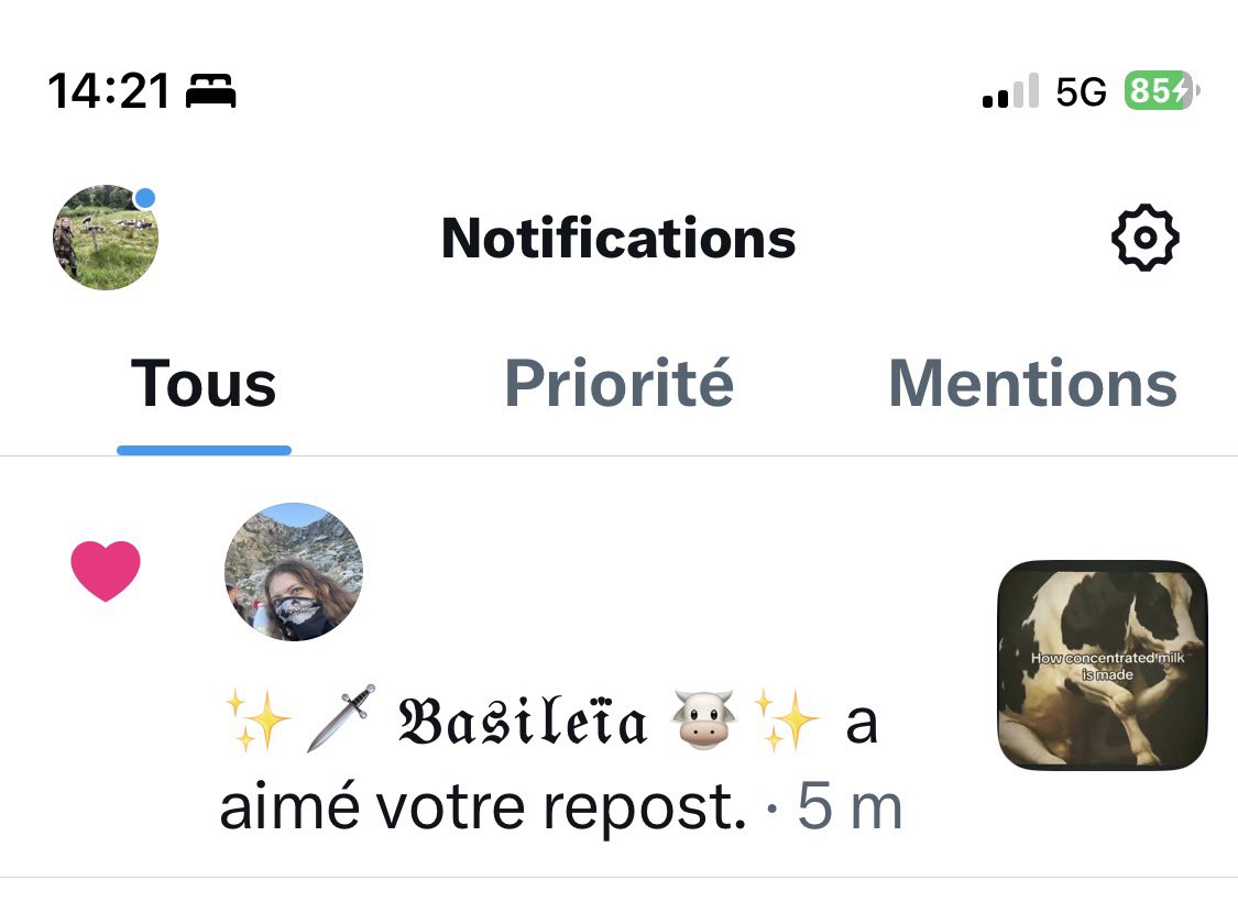 ThuleanPika's tweet photo. Mmhhh, je la connais elle je crois… https://t.co/lYydjLuplm