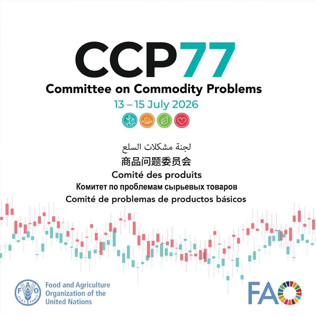 FAOSocioEcon's tweet photo. This week in Rome...

77th Session of the Committee on Commodity Problems (CCP 77)
 
13–15 July 2026 | Rome, Italy | Hybrid Event

How can trade strengthen resilience and support global food security?

Follow #CCP77👇

 💻https://t.co/B3kQNGJlAz

📘 https://t.co/Ncs8ixVa1q https://t.co/agivAUKGYs