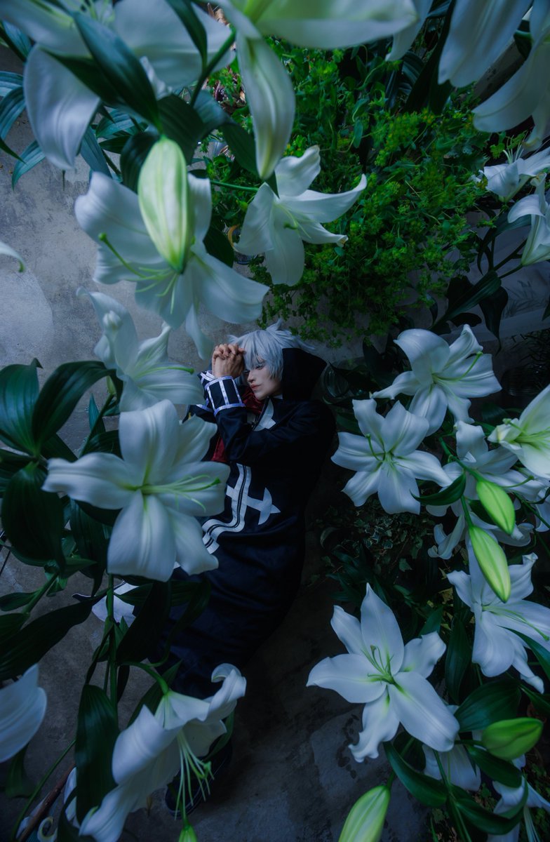 r0s0sy's tweet photo. cosplay
Fate/Grand Order
シャルル＝アンリ・サンソン

──許しは、乞わない──

photoby かとりーなさん(@catrina_hearts)
Studio:@studioxparadis https://t.co/M4ppJxa2ED
