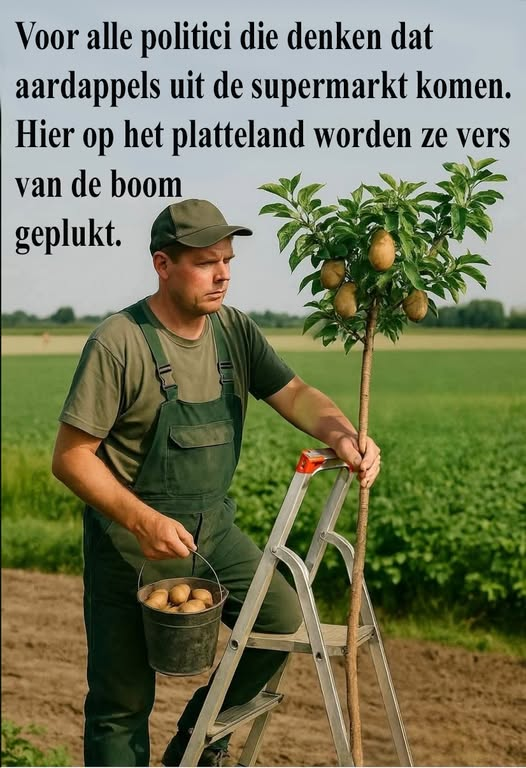 Wim den Oudsten tweet media