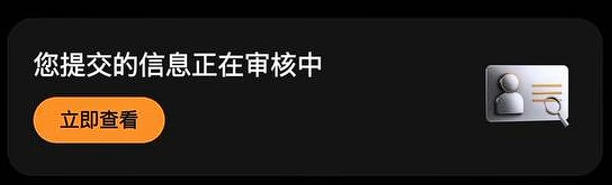 审核中提示界面
