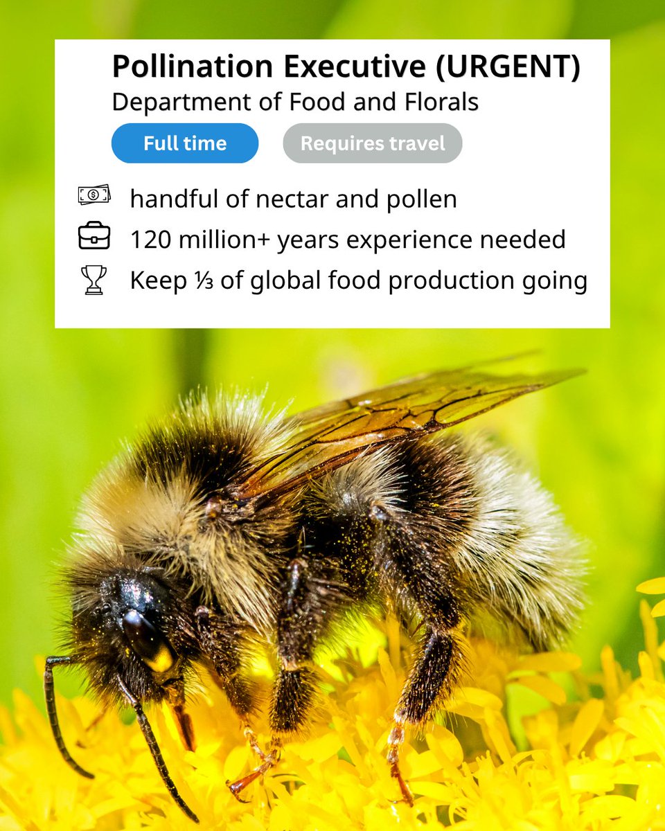 WWFSouthAfrica's tweet photo. 📣 Nature is hiring. 💼 And the benefits package is unmatched. 😱

Trees, bees and earthworms have been keeping our home running for billions of years - no salary, no leave days, no complaints. 🌳🐝🪱
Who's your Employee of the Month? 🏆👇 https://t.co/ePUfzWomHw