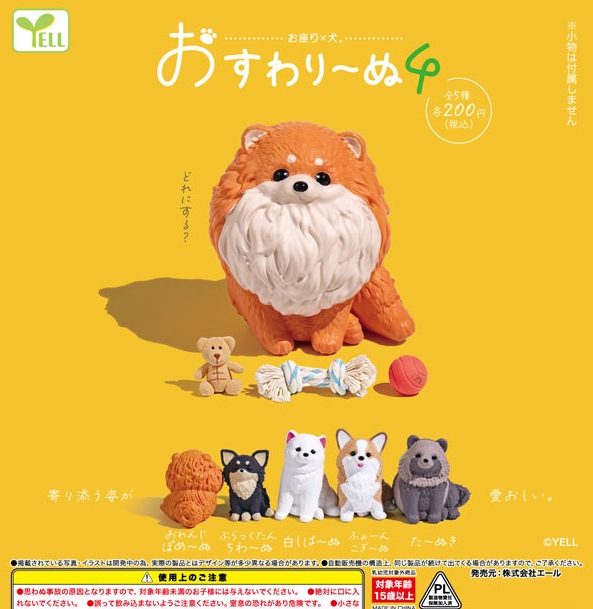 Post by きぬたそう on X: たぬきがいる！