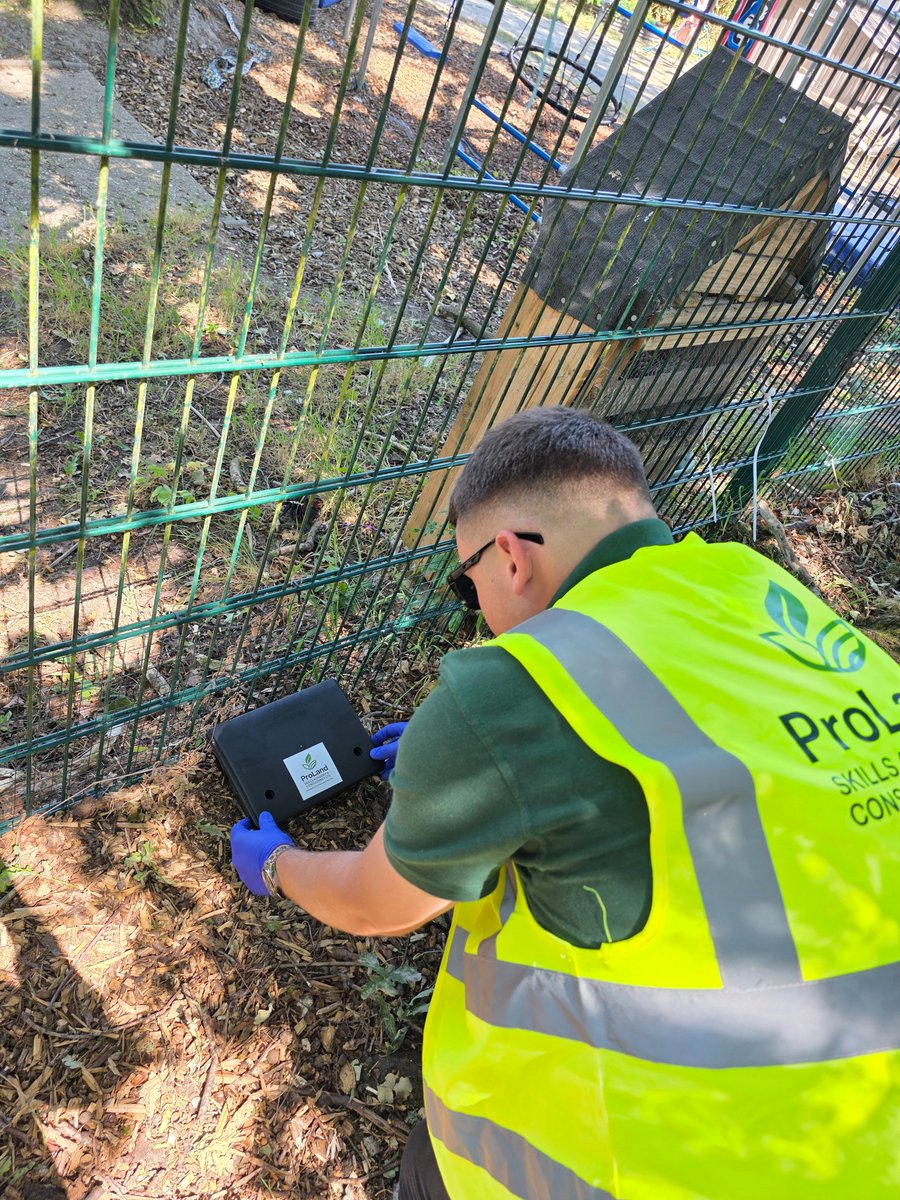 ProlandAcademy's tweet photo. As part of our Hands-On services, we conduct routine Rodent Management inspections and implement follow-up control measures as needed to assist our clients in complying with the Prevention of Damage by Pests Act.

Rodents can be a significant nuisance, causing property damage and carrying diseases that can affect everyone, whether in domestic, industrial, or commercial settings. Our qualified rodent controllers are here to help address these issues.

For assistance with inspections aimed at prevention or to establish control measures, please contact our office at 0118 449 2743.

#Rodents #Inspections #Baitingortrapping